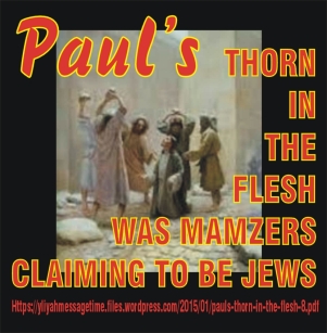 Pauls thorn image